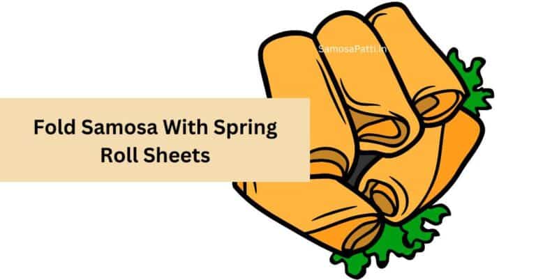 How to Fold Samosa with Spring Roll Sheets